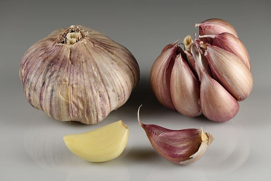 Garlic / لہسن