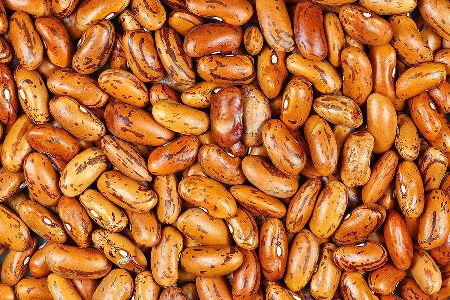 Kidney beans (Rajmash) / راجماش / لوبیا لال