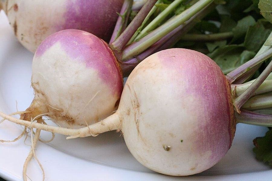 Turnip / شلجم