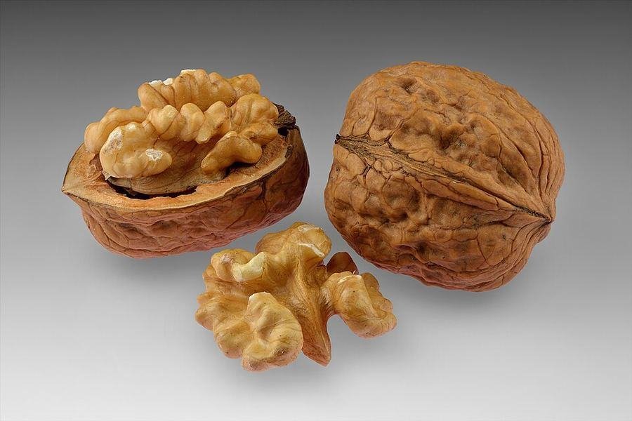 Walnut / اخروٹ